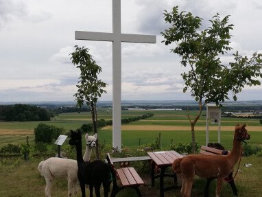 Schönes Ausflugsziel zum Bio-Weinberg Ruppert und schöner Aussicht vom "Weißen Kreuz" aus
