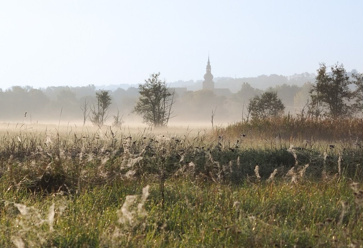 PA121319.jpg