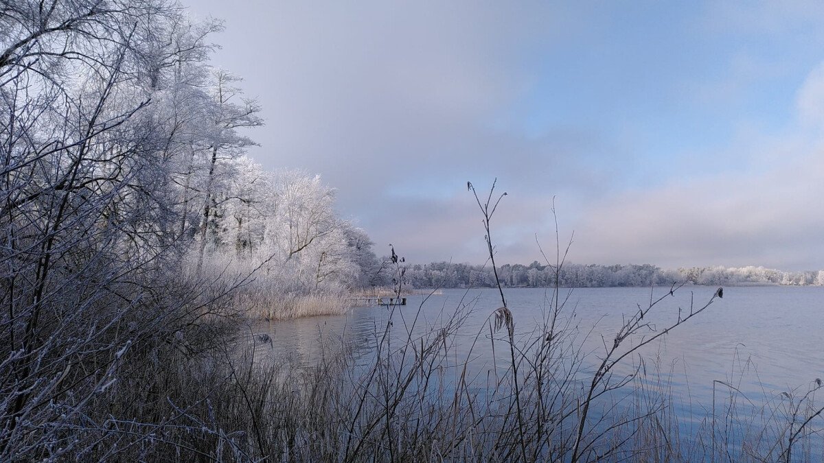 Arendsee Winter.jpg