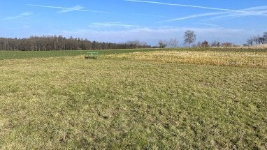 Ausblick Richtung Wald