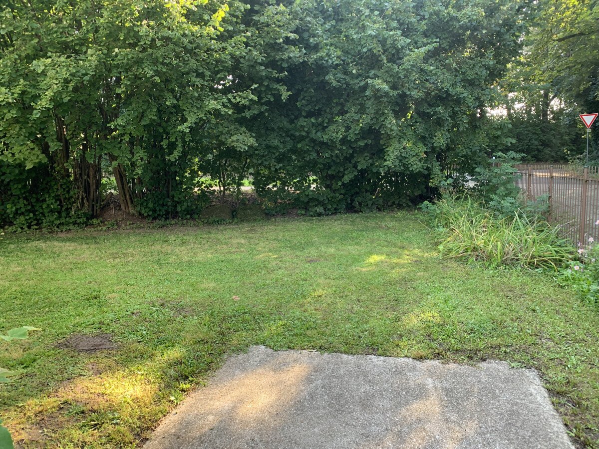 IMG_5598.jpeg