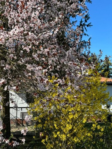Natur
