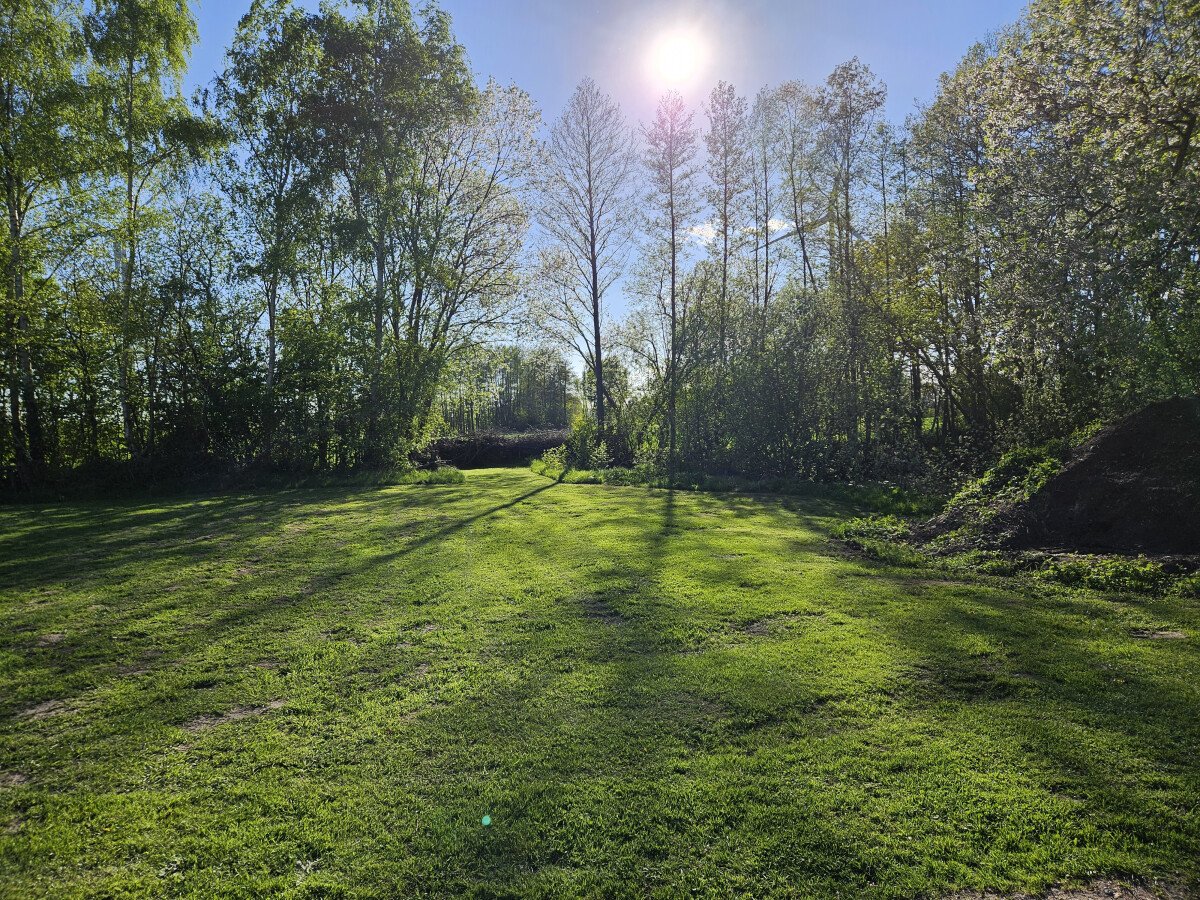 20250426_180155.jpg