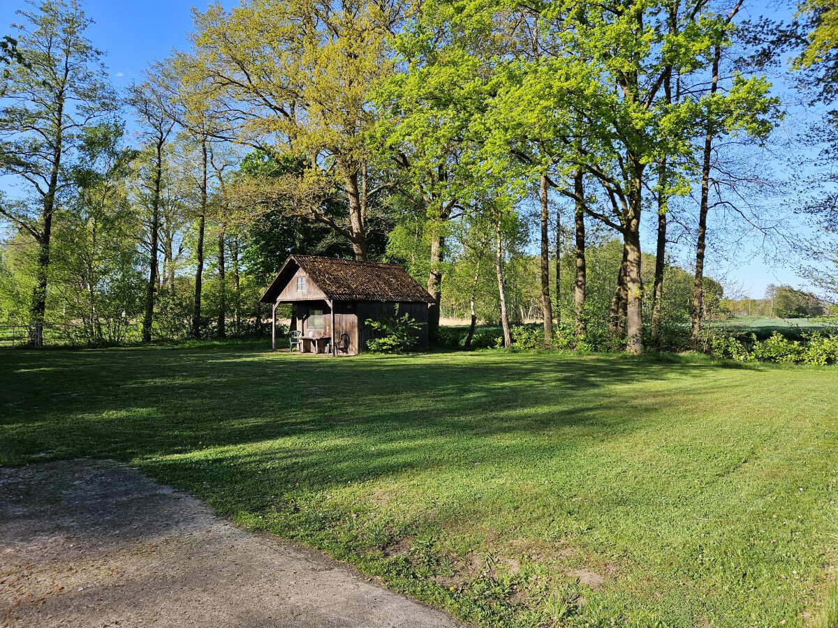 20250426_180114.jpg