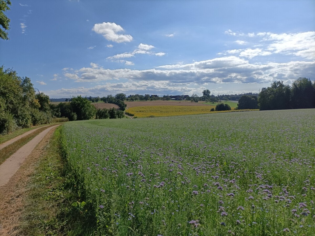 Blick nach Henstetten