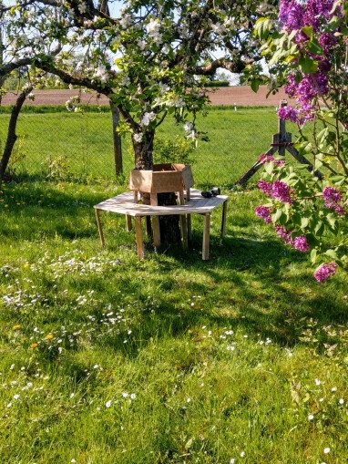 Auf der Baumbank die Stille und Aussichten genießen