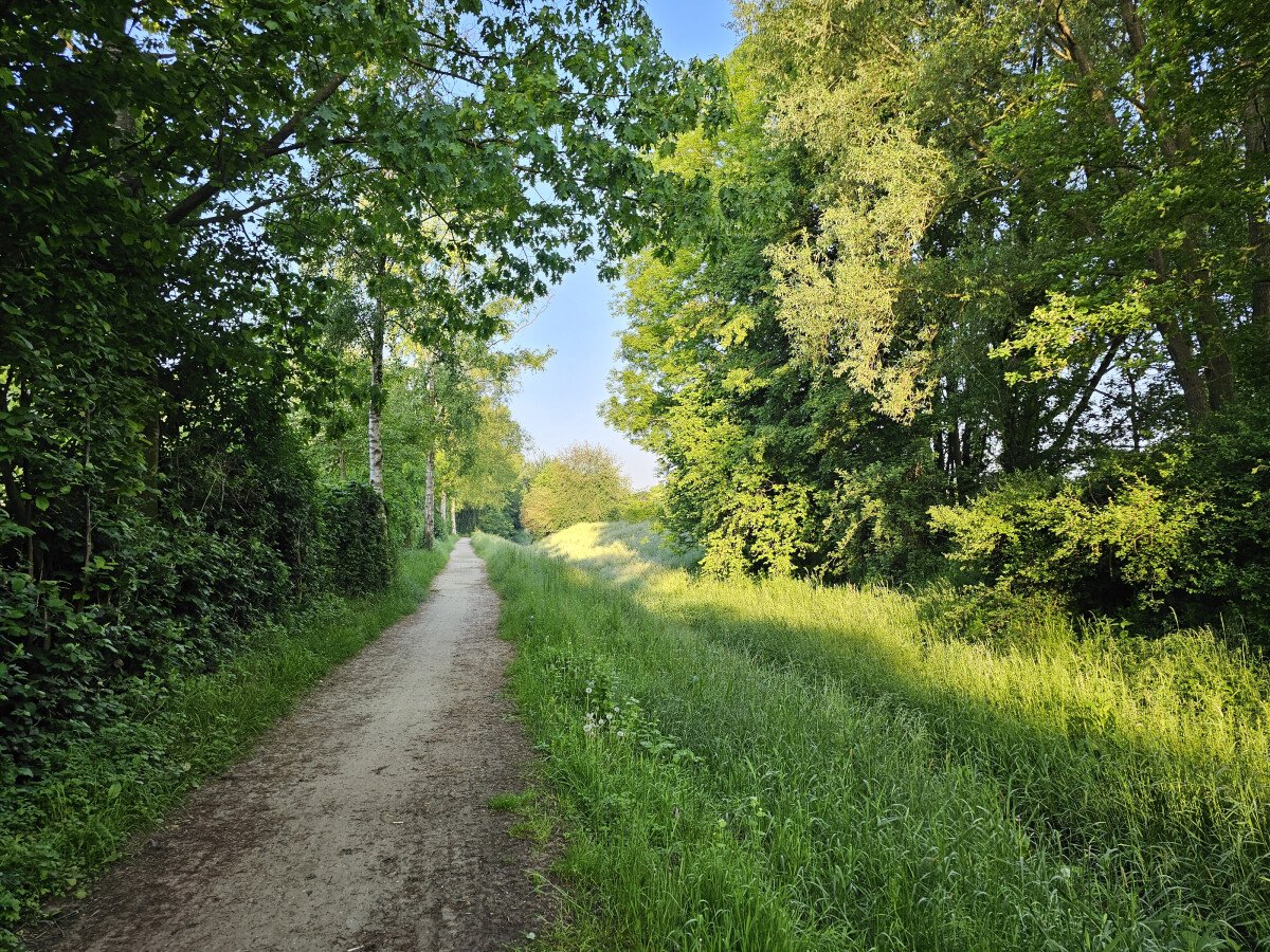 20230525_065844.jpg