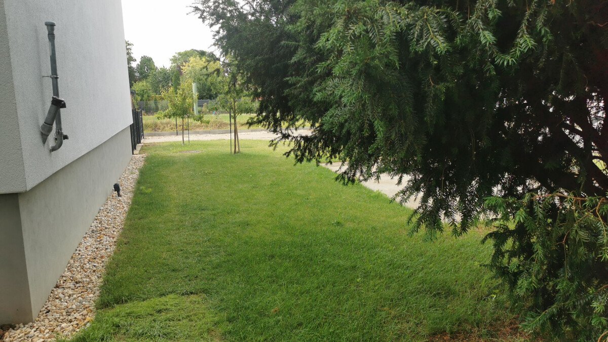 IMG-20240705-WA0005.jpeg
