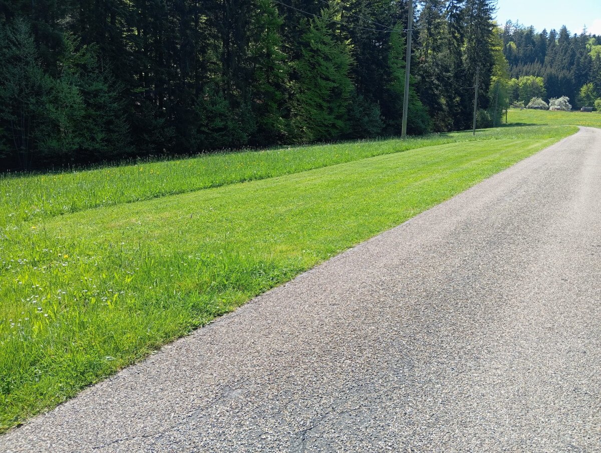 IMG-20250430-WA0004_3.jpg