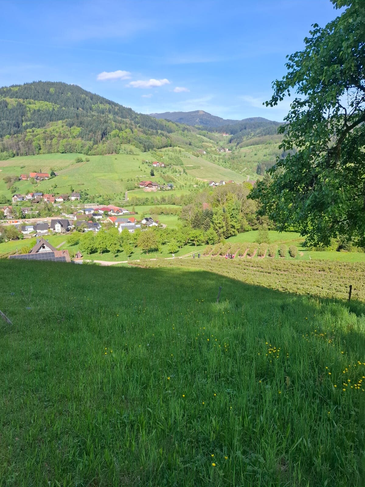 WhatsApp Bild 2025-04-27 um 17.15.54_d9026d1d.jpg