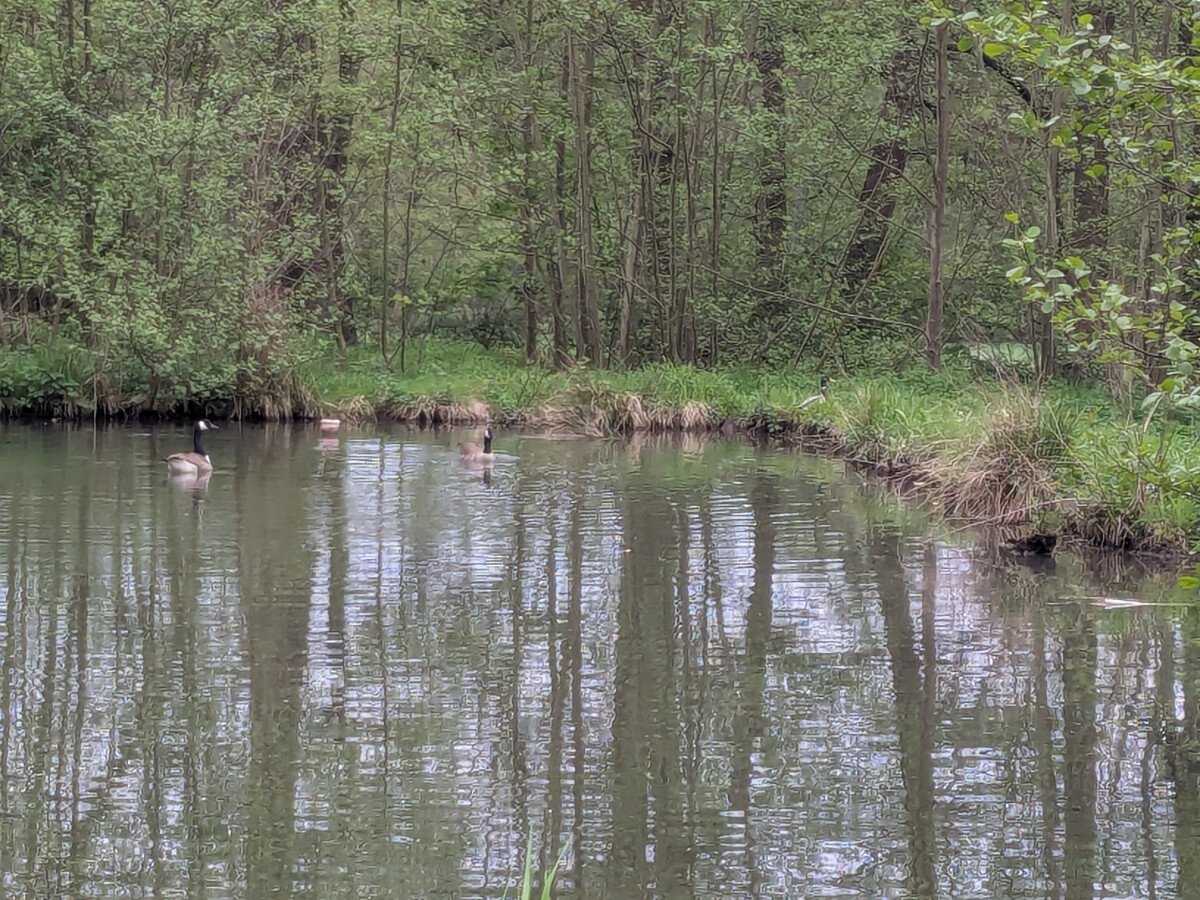 fischteiche 7.jpg