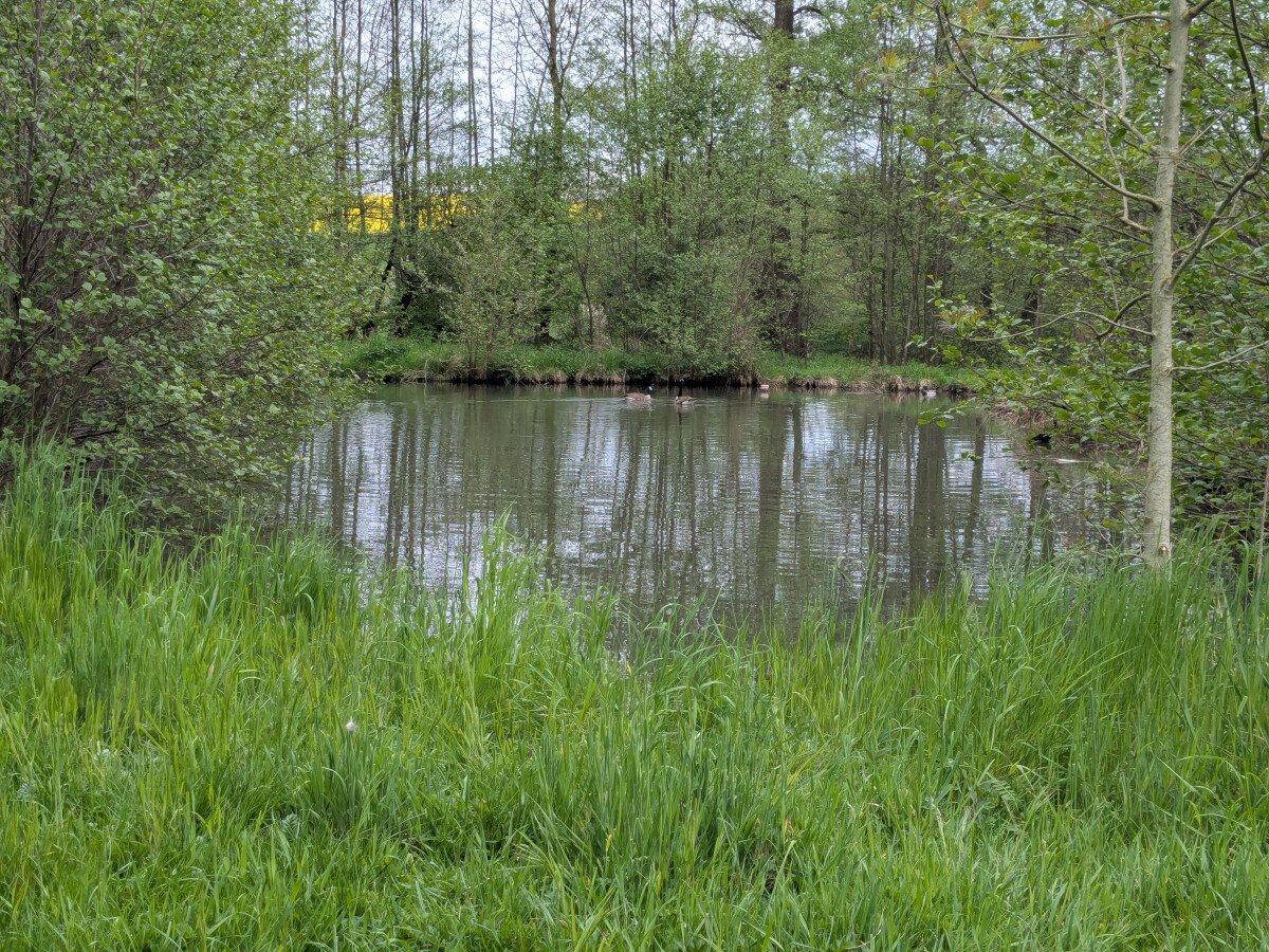 fischteiche.jpg