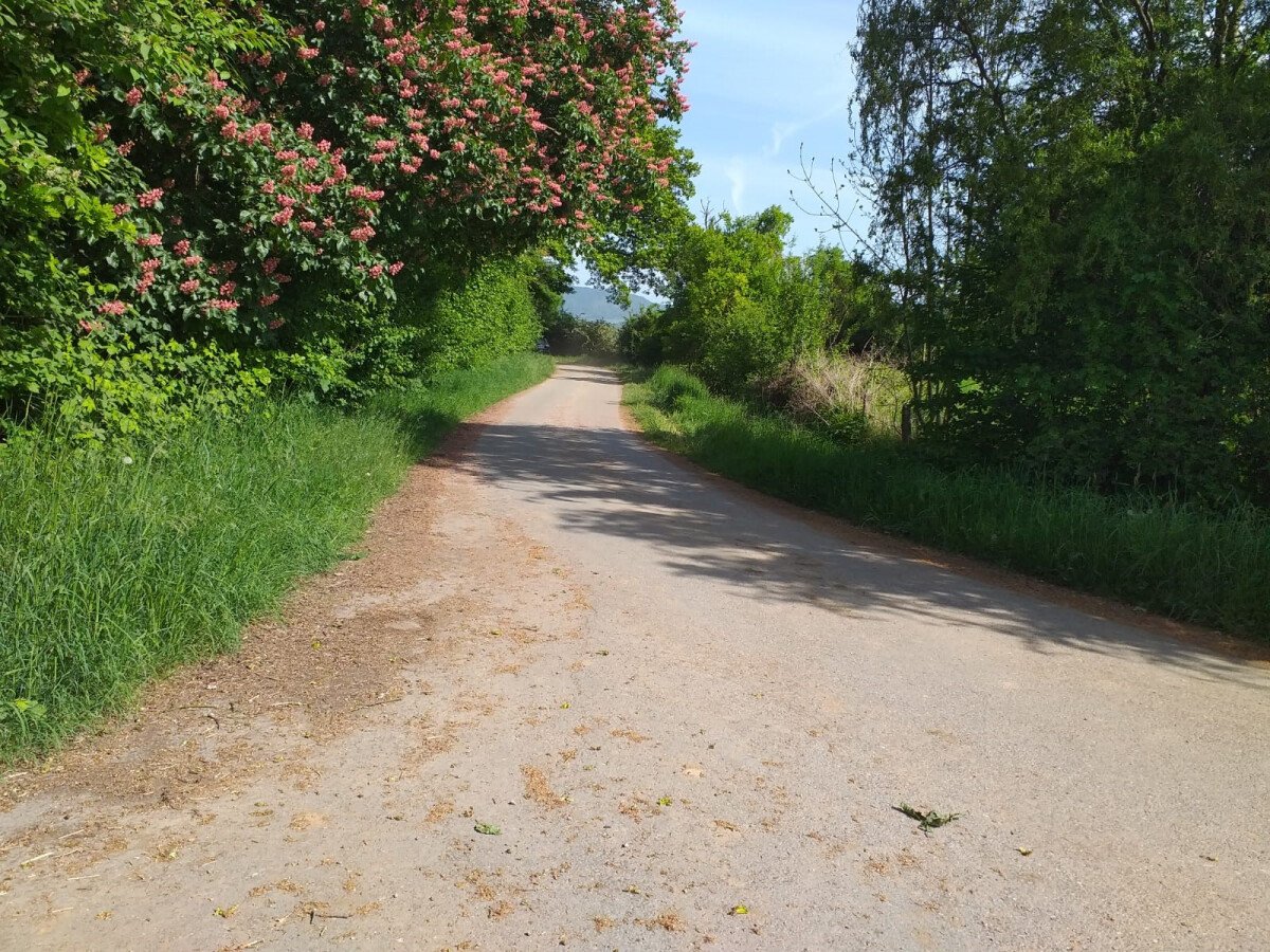 Wege der Feldmark rund um unseren Platz.