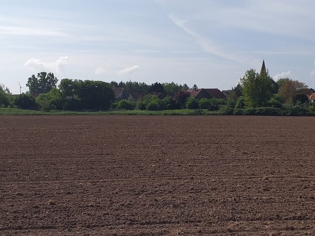 Blick auf unsern Platz kurz vor der Weser.