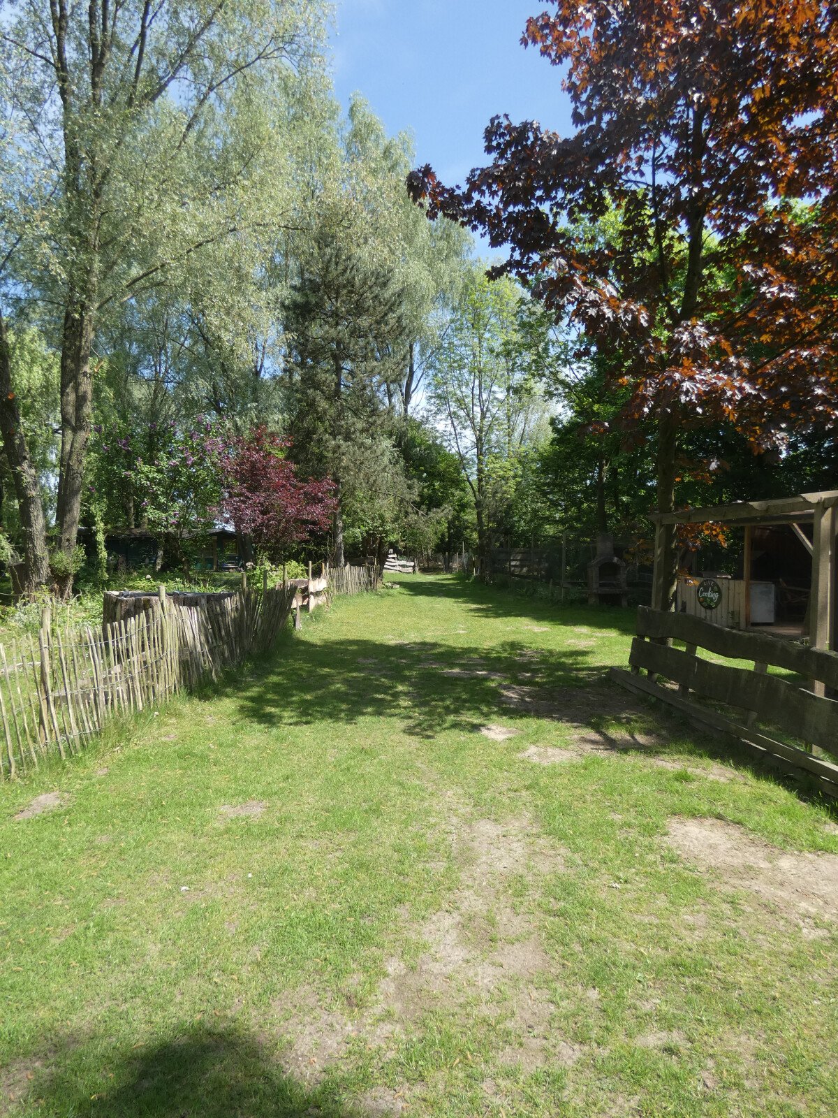 P1000765.JPG