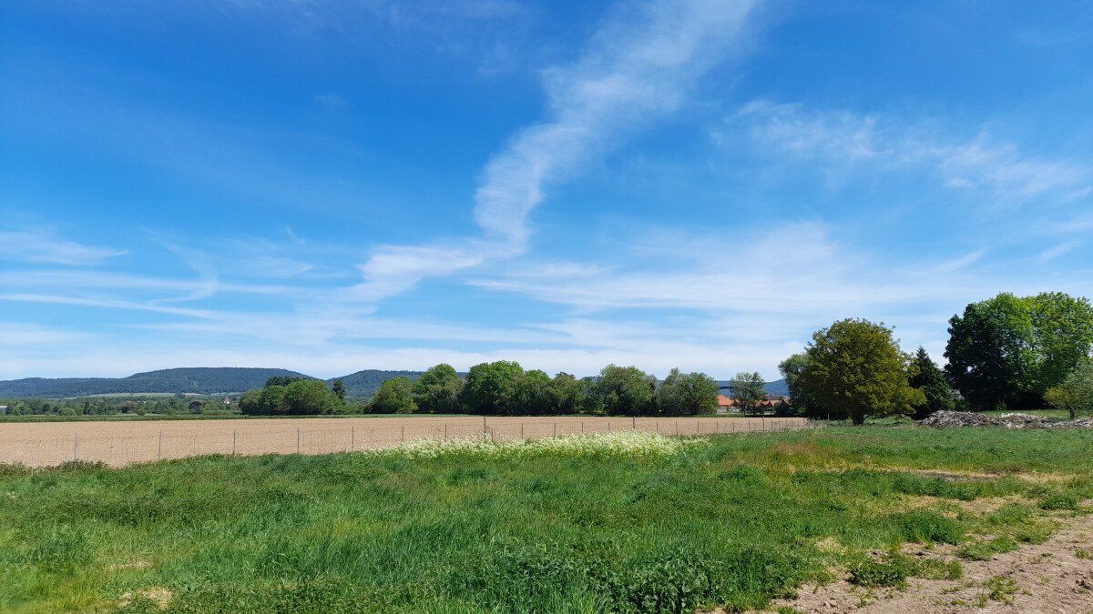 Bick i Richtung Weserbrüke.