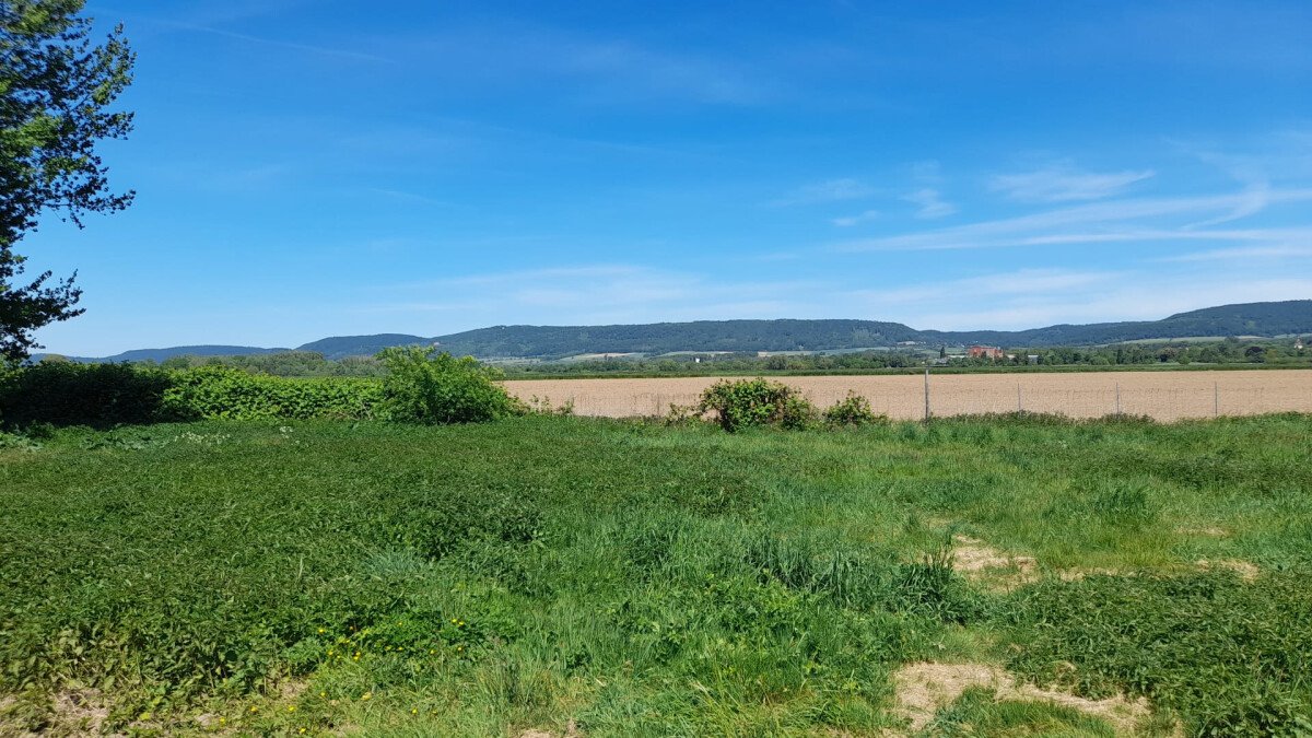 Aussicht auf die Schaumburg und Paschenburg.