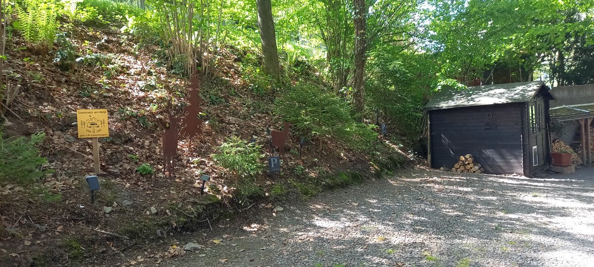 20250516_113023.jpg