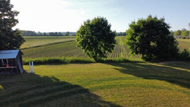 Blick von oben auf die Plätze