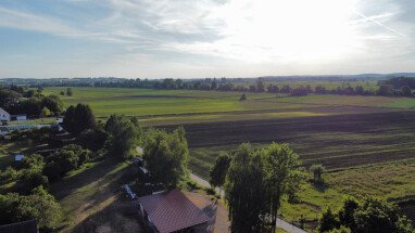 Blick ins Ried