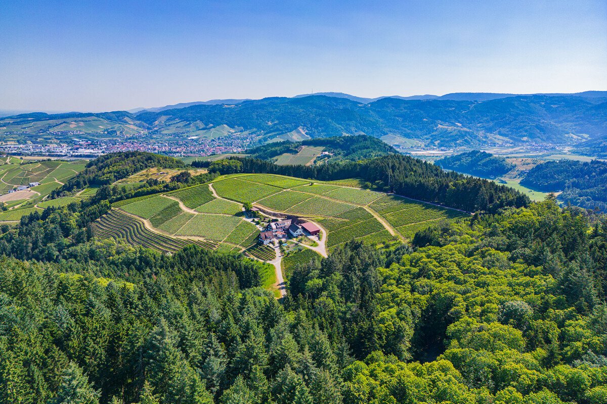 1687336652_DJI_0988.jpg