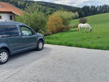 Stellplatz und Wiese 