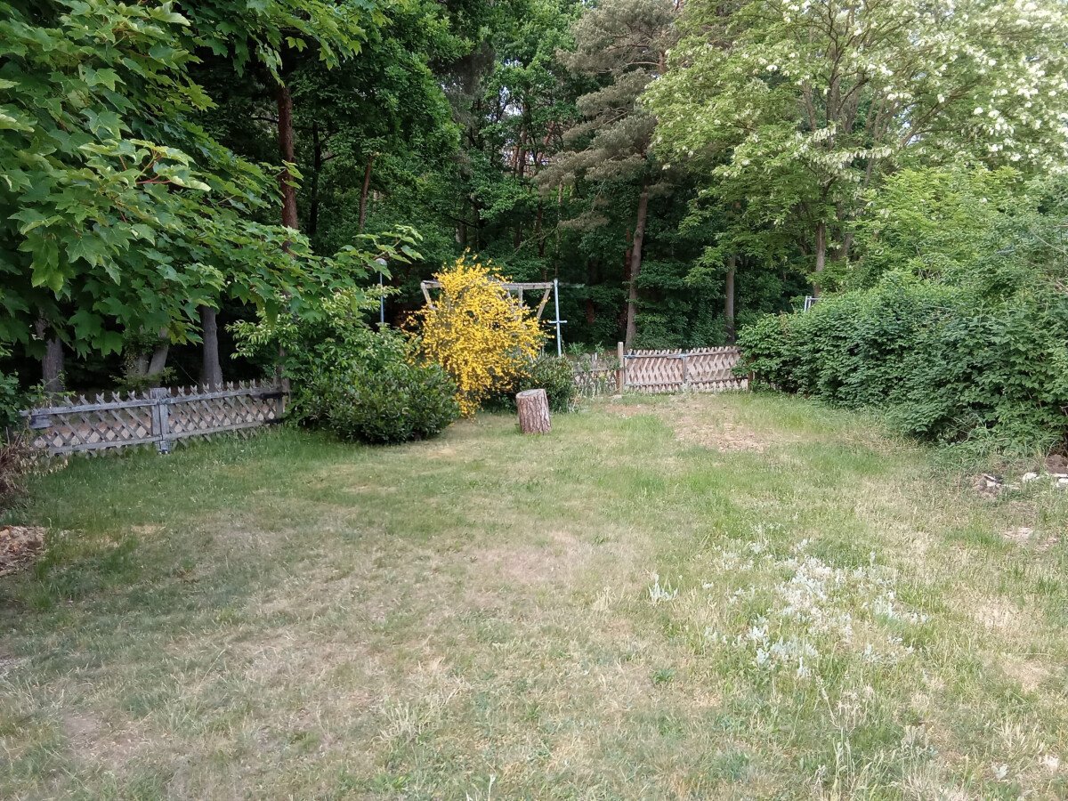 Wiese.jpg