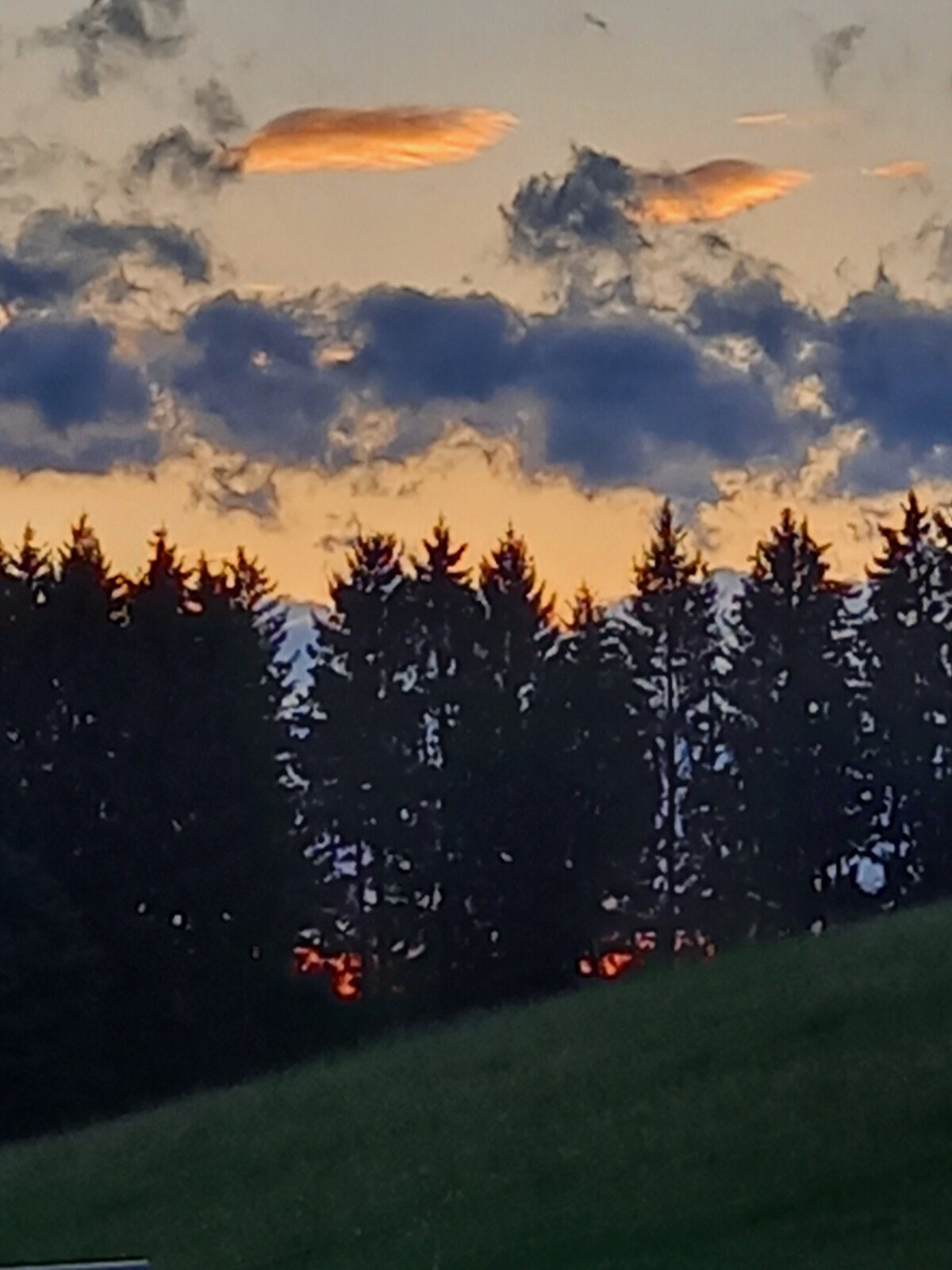 20250520_204135.jpg