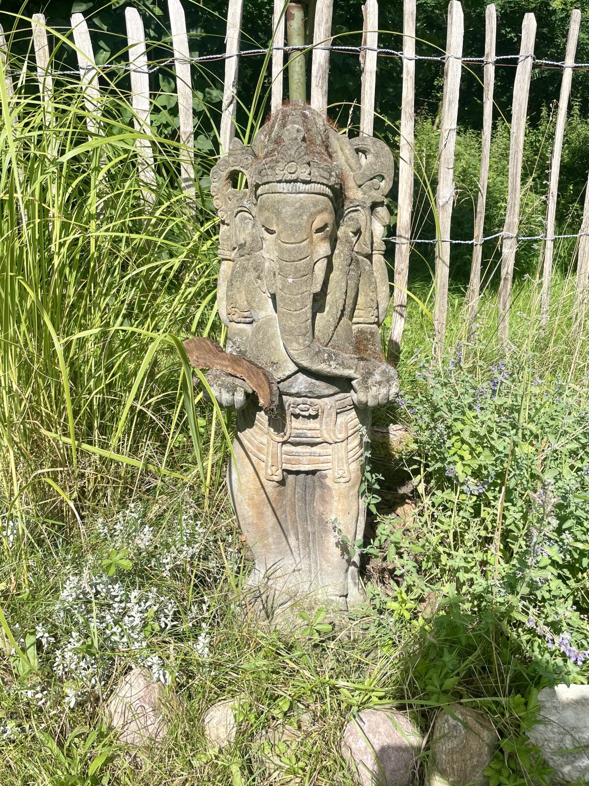 IMG_0232.jpeg