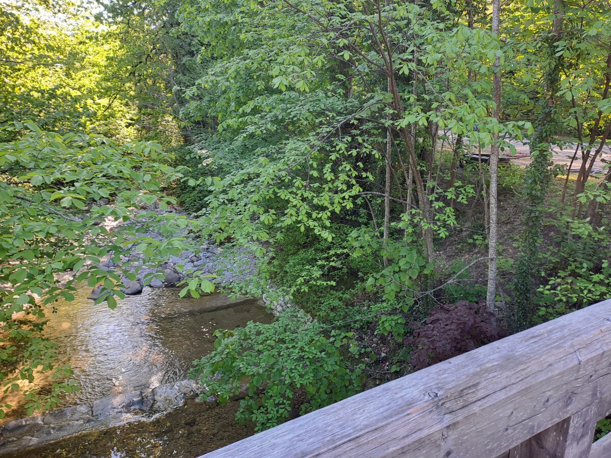20250430_090644.jpg