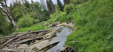 An der Wertach