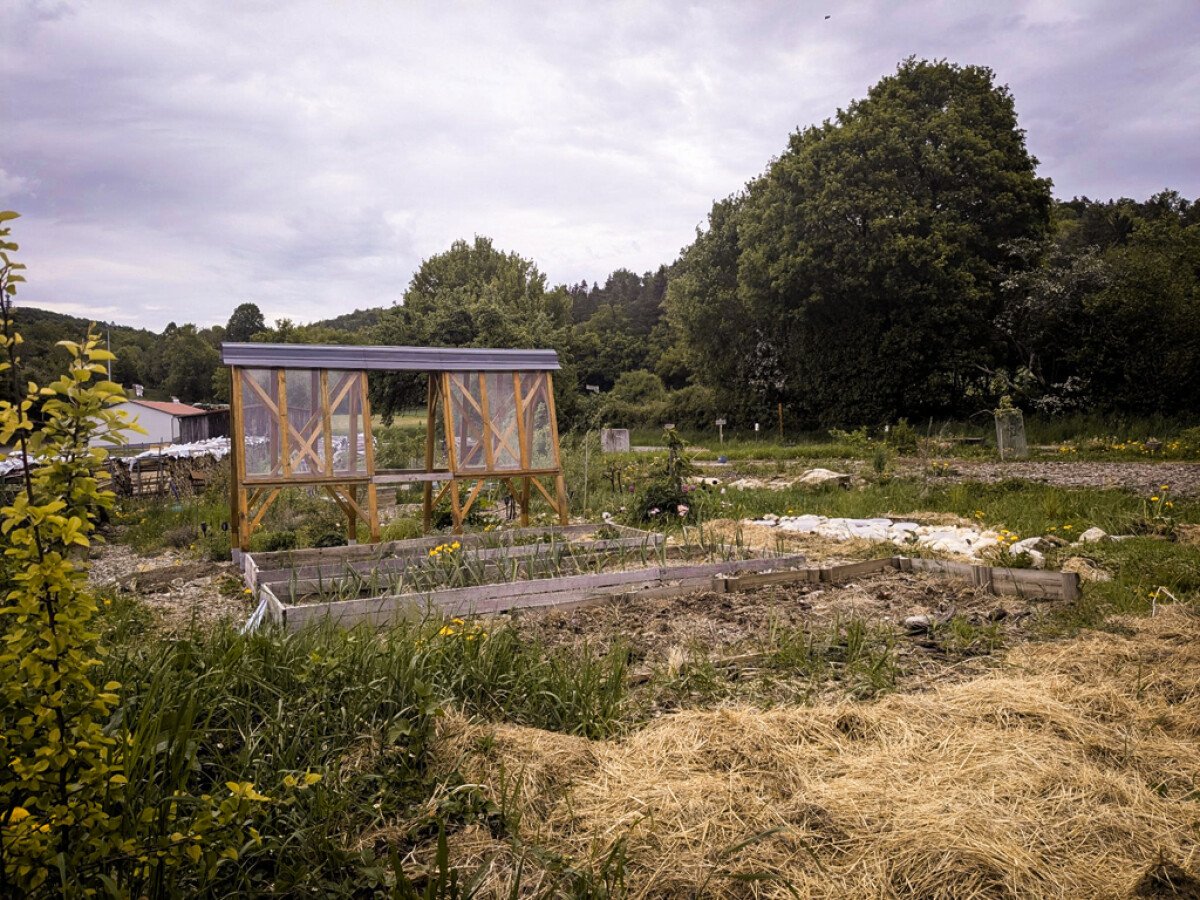 Smitherson Farmland 19.jpg