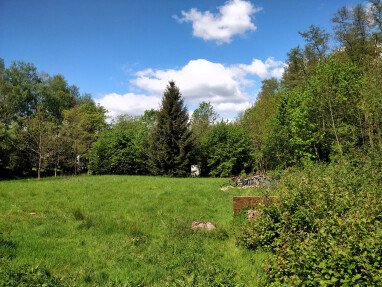 Campingwiese