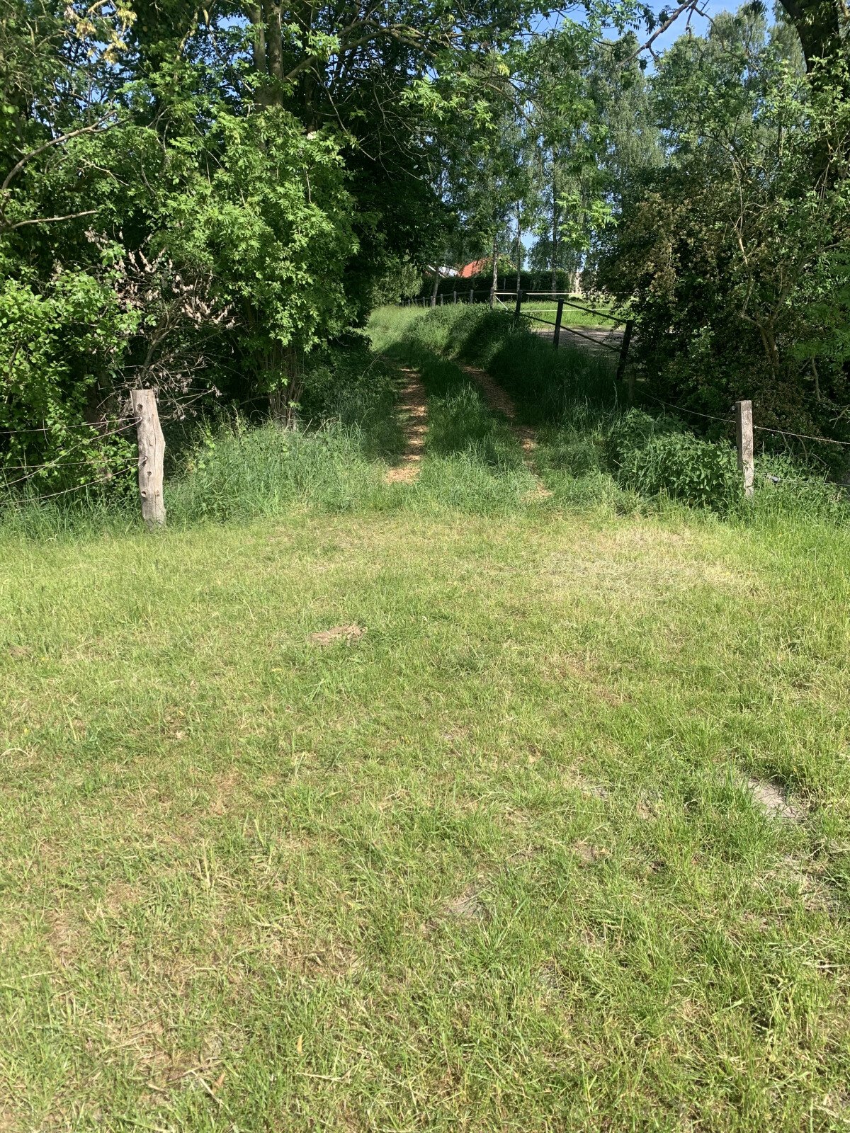 IMG_0651.jpeg