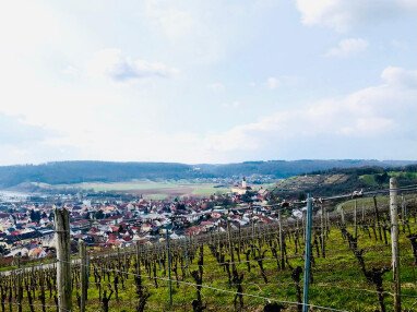 Blick aus den Weinbergen 