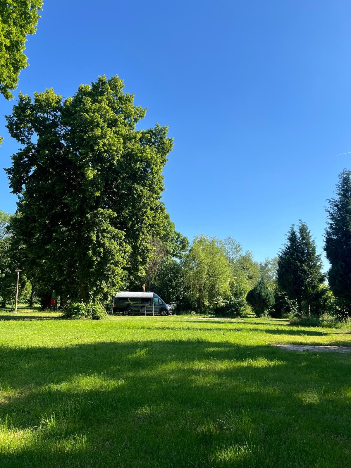 gr wiese.jpeg