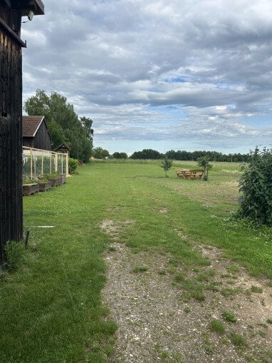 Raus auf die wiese