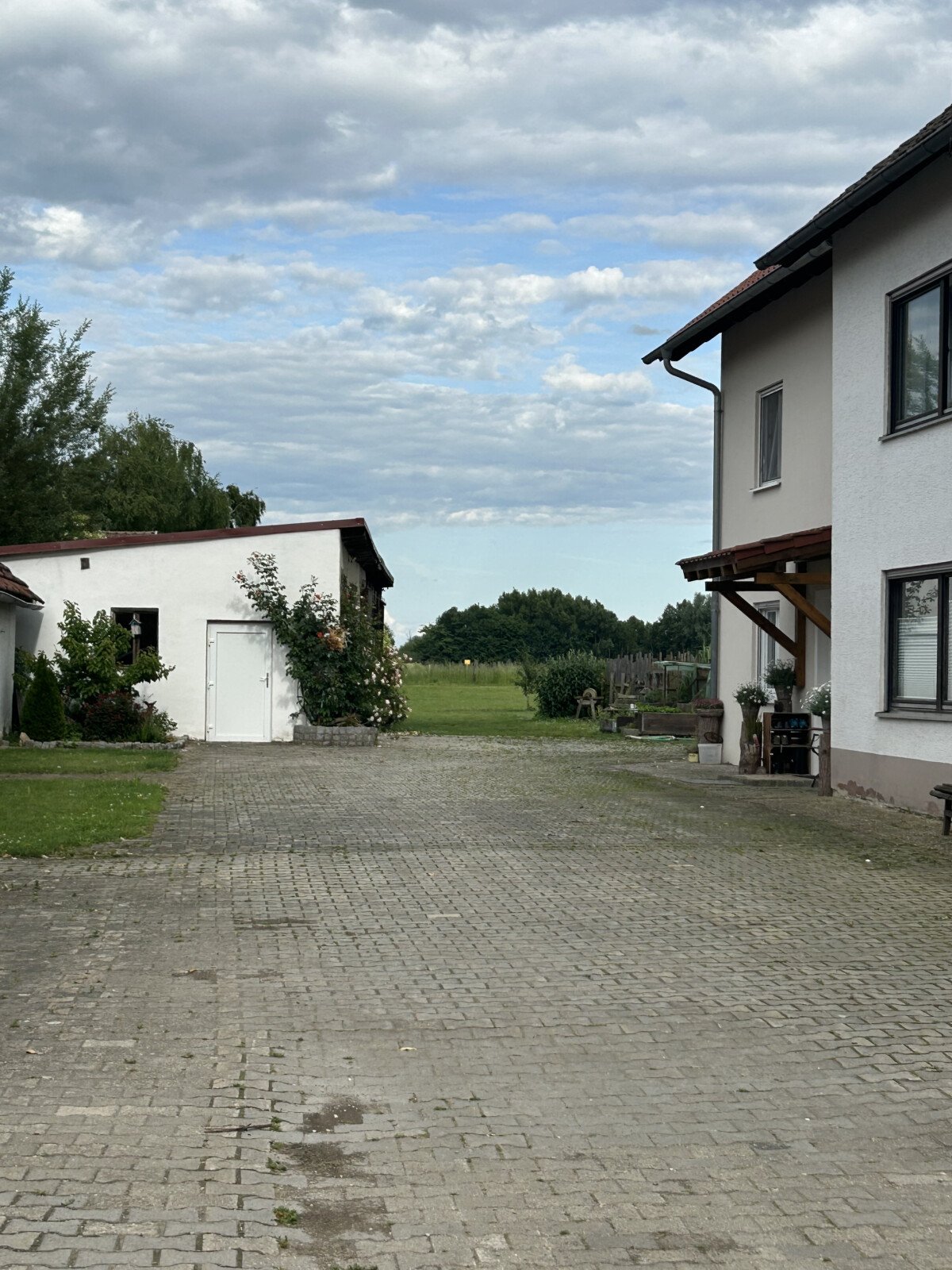 IMG_1812.jpeg