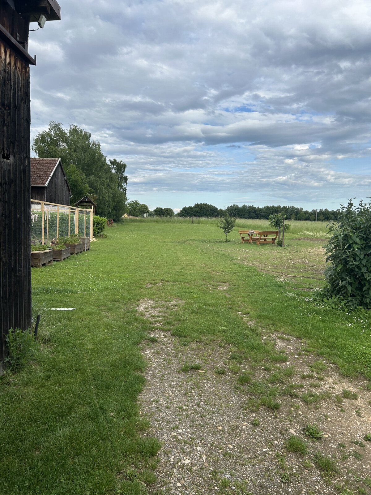 IMG_1814.jpeg