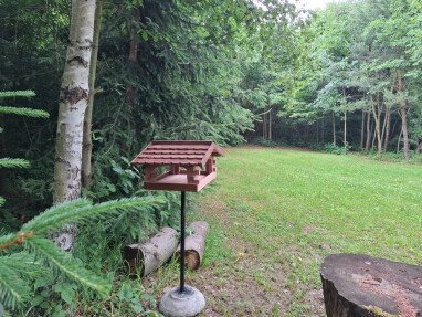 Grünfläche im Wald