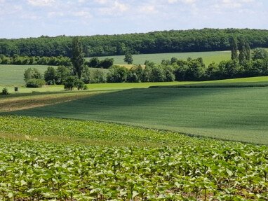 Blick vom Grundstück
