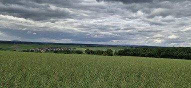 Blick zur Rhön