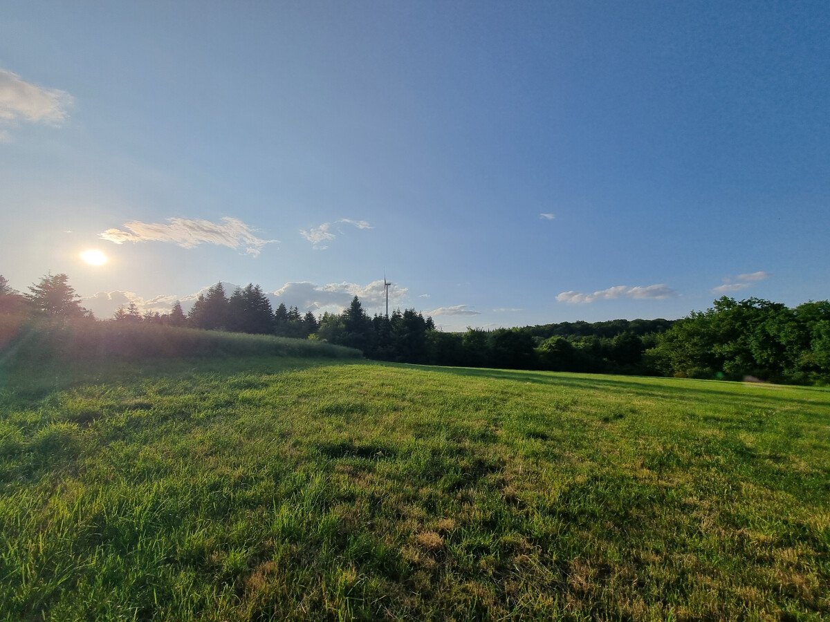 20250602_195556.jpg