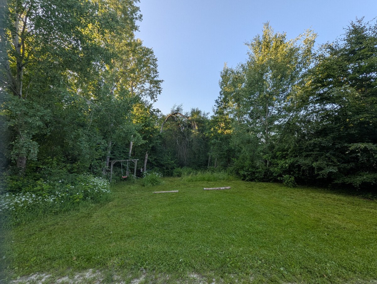 PXL_20250611_175209220.jpg