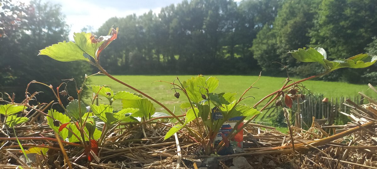20240624_173022.jpg