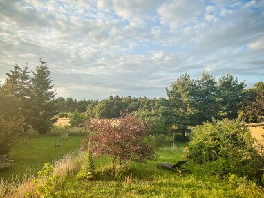 Garten-1