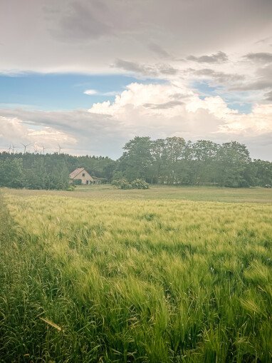 Blick auf das Grundstück