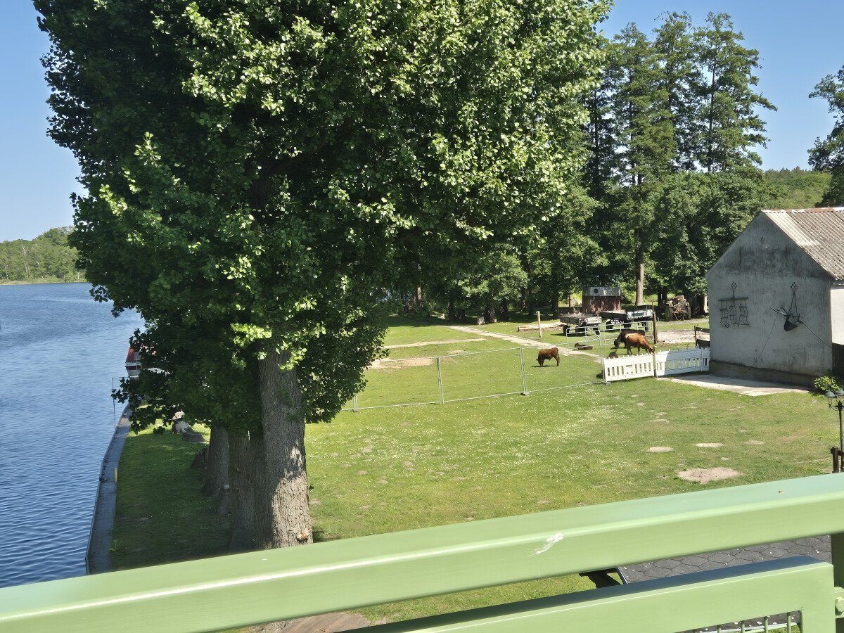 20250613_151934.jpg