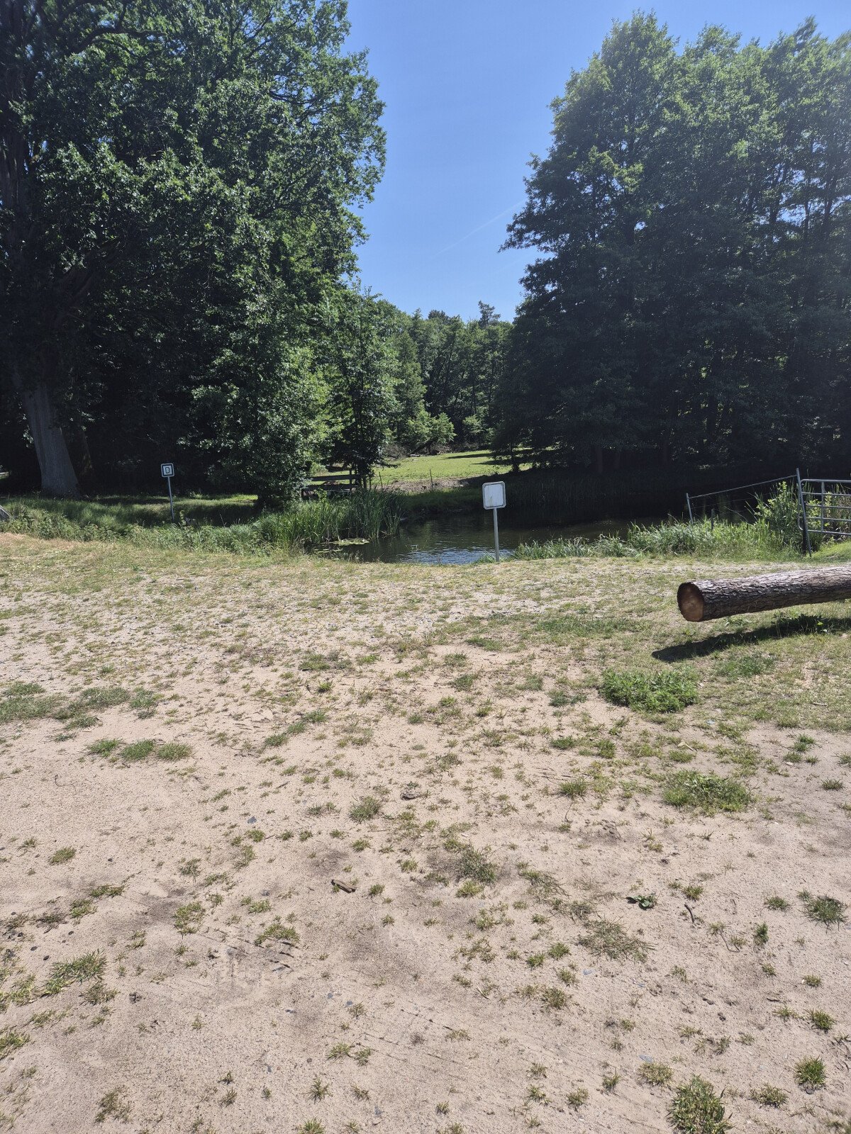 20250613_151401.jpg
