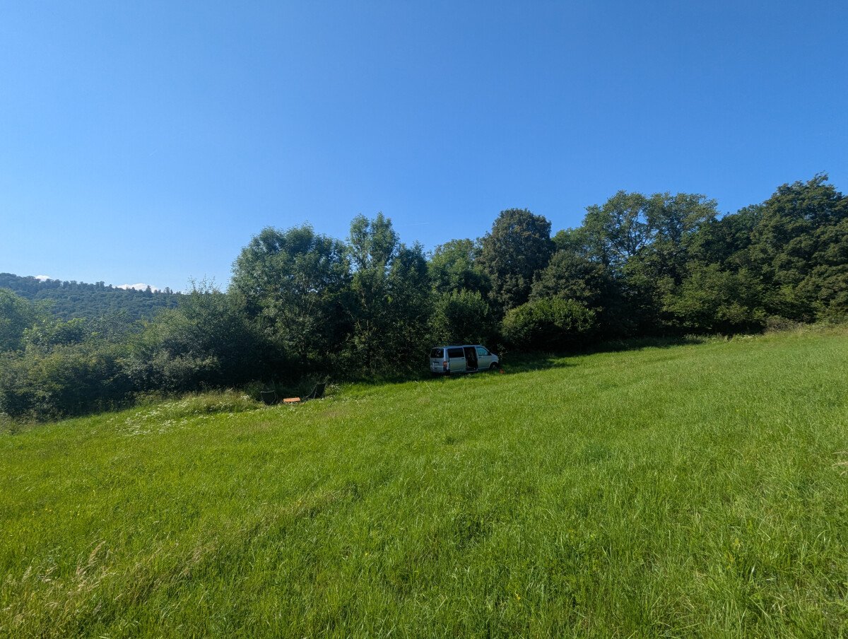 PXL_20250619_073427842.jpg